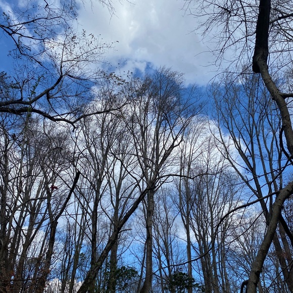 I Reuse Clean Packaging Materials!๐๐๐ - Picture 2 of 4